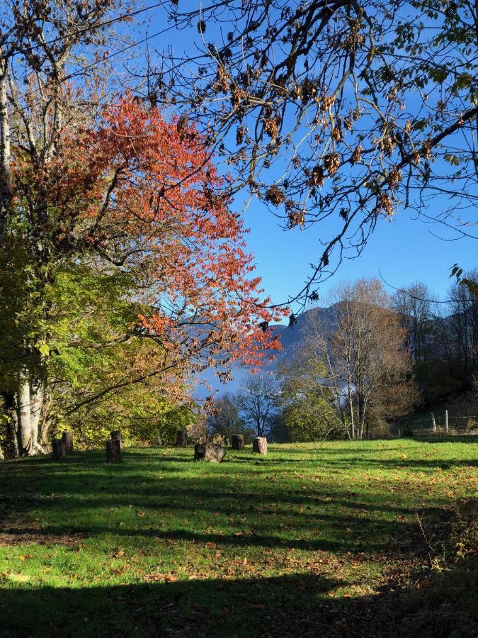 Aillon-le-VieuxChapamama住宿加早餐旅馆 外观 照片
